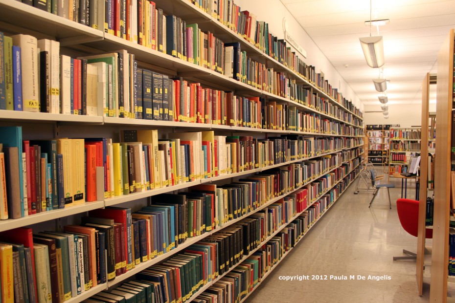 shelves-and-shelves-of-library-books